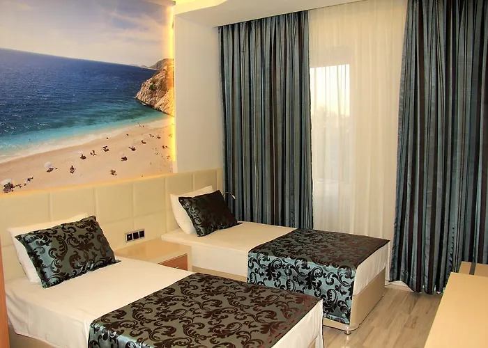 Ark And Alanya