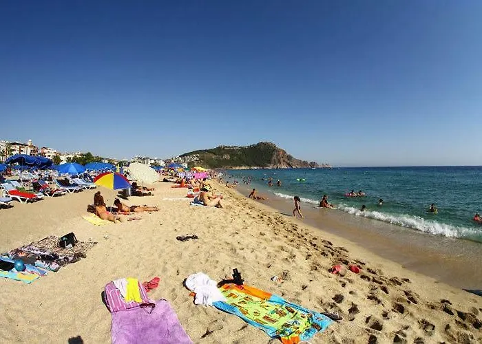 Szálloda Ark And 3*