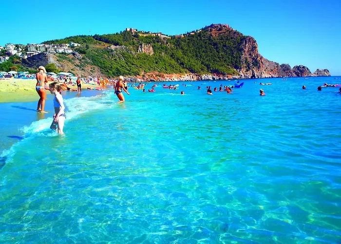Ark And Alanya