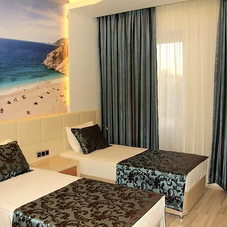 Ark And Alanya