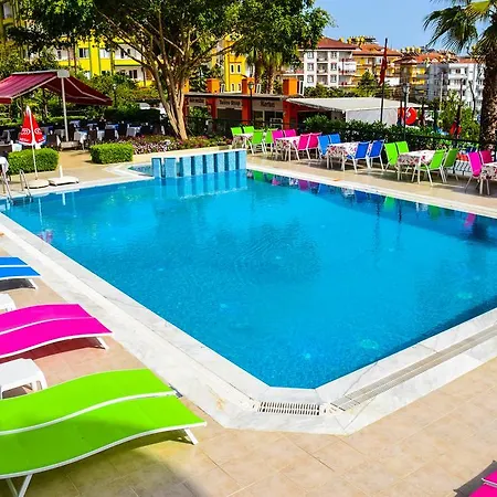 Ark And Otel