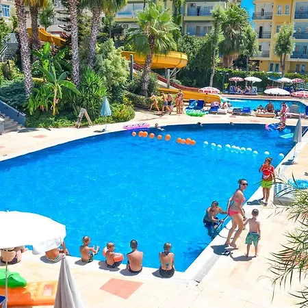 Ark And Alanya