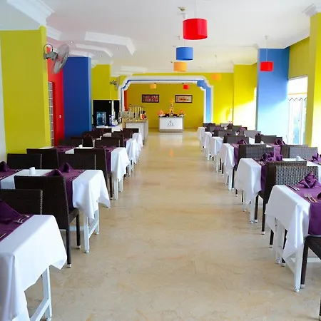 Ark And Otel