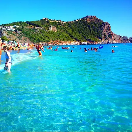 Ark And Alanya